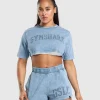 Collegiate Shadow Washed Crop Top