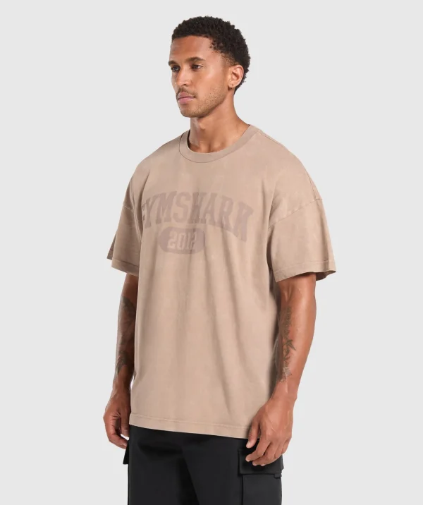 Collegiate Shadow Washed T-Shirt