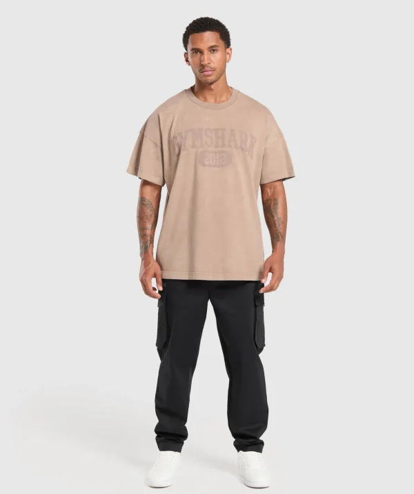 Collegiate Shadow Washed T-Shirt