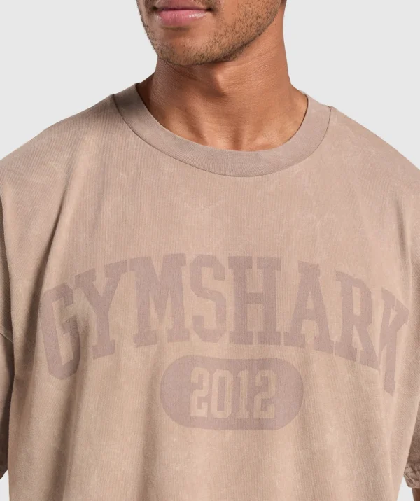 Collegiate Shadow Washed T-Shirt