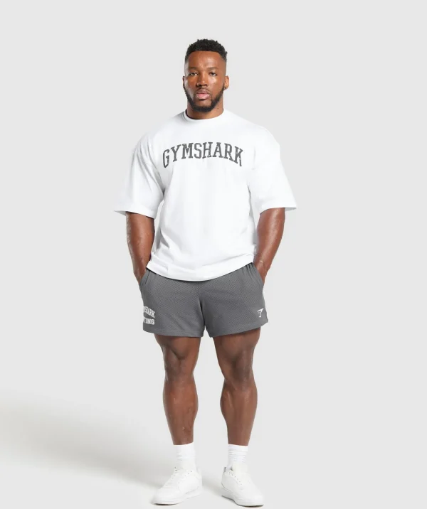 Lifting Mesh 5" Shorts