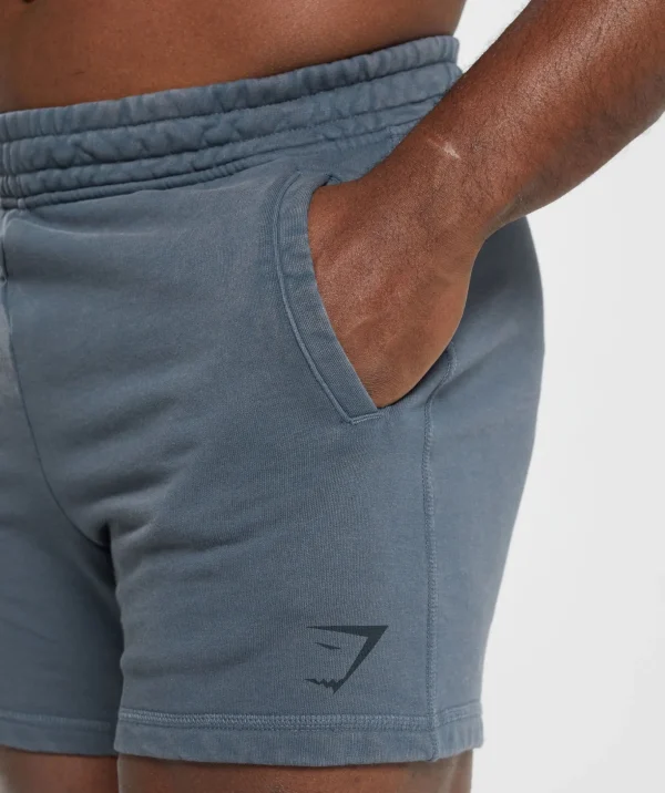 Power Washed 5" Shorts